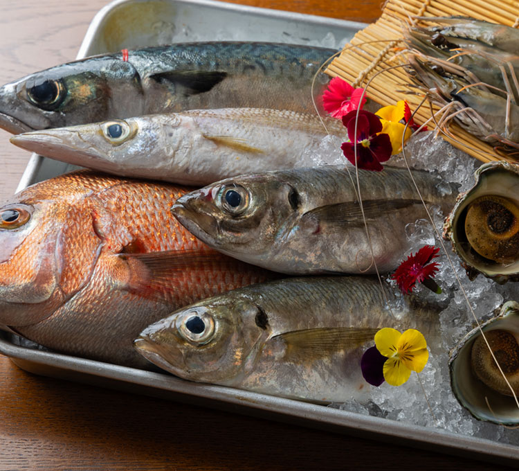 魚介集合