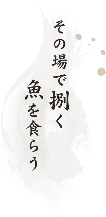 その場で捌く 魚を食らう